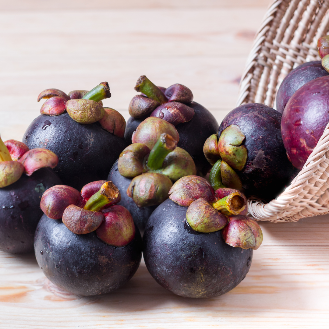 PREMIUM VIETNAMESE PURPLE MANGOSTEEN – SWEET TROPICAL FRUIT, 10KG EXPORT PACK, AIR FREIGHT SUPPLY BY GIMEX VIETNAM