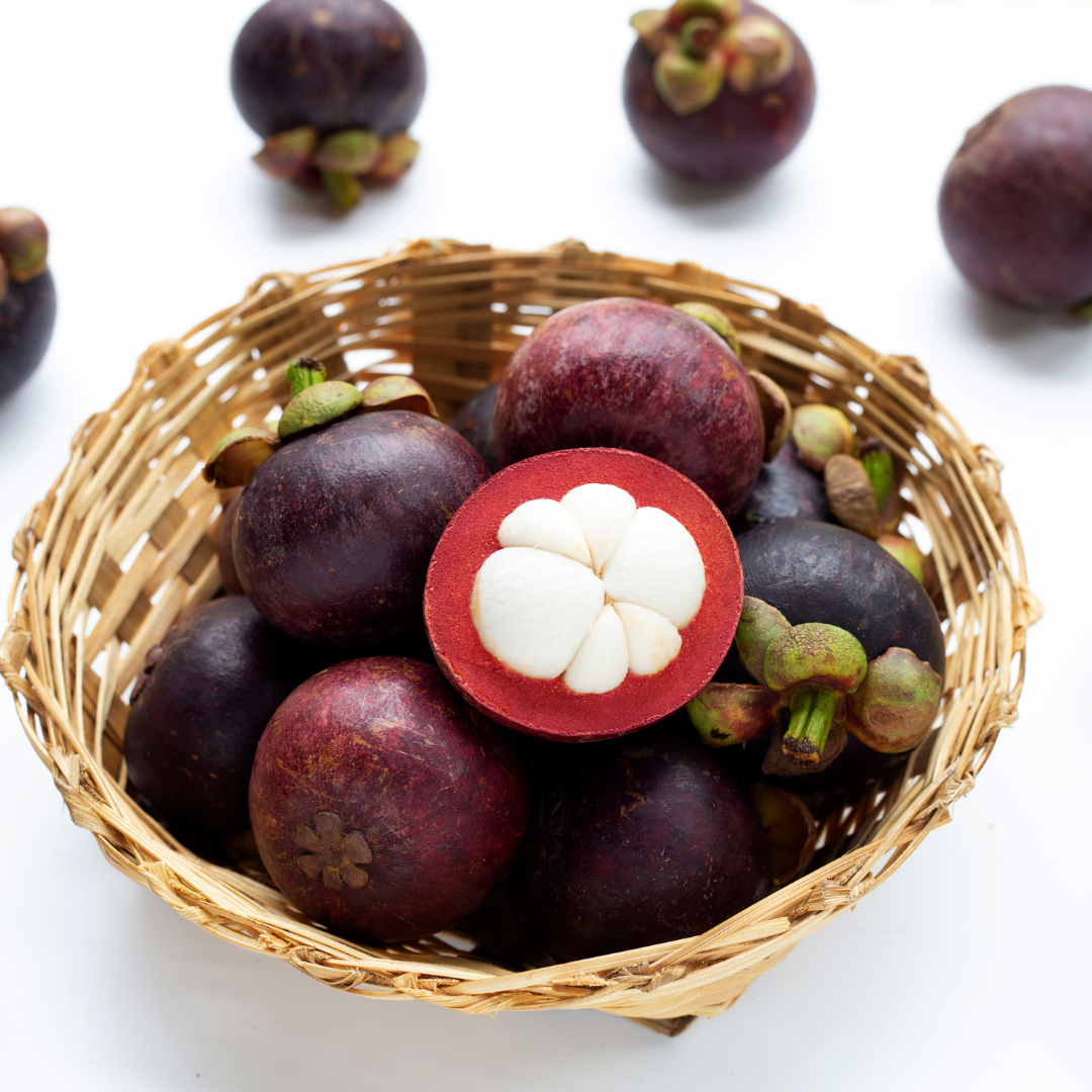 PREMIUM VIETNAMESE FRESH MANGOSTEEN – HIGH-QUALITY TROPICAL FRUIT FOR WHOLESALE AND EXPORT