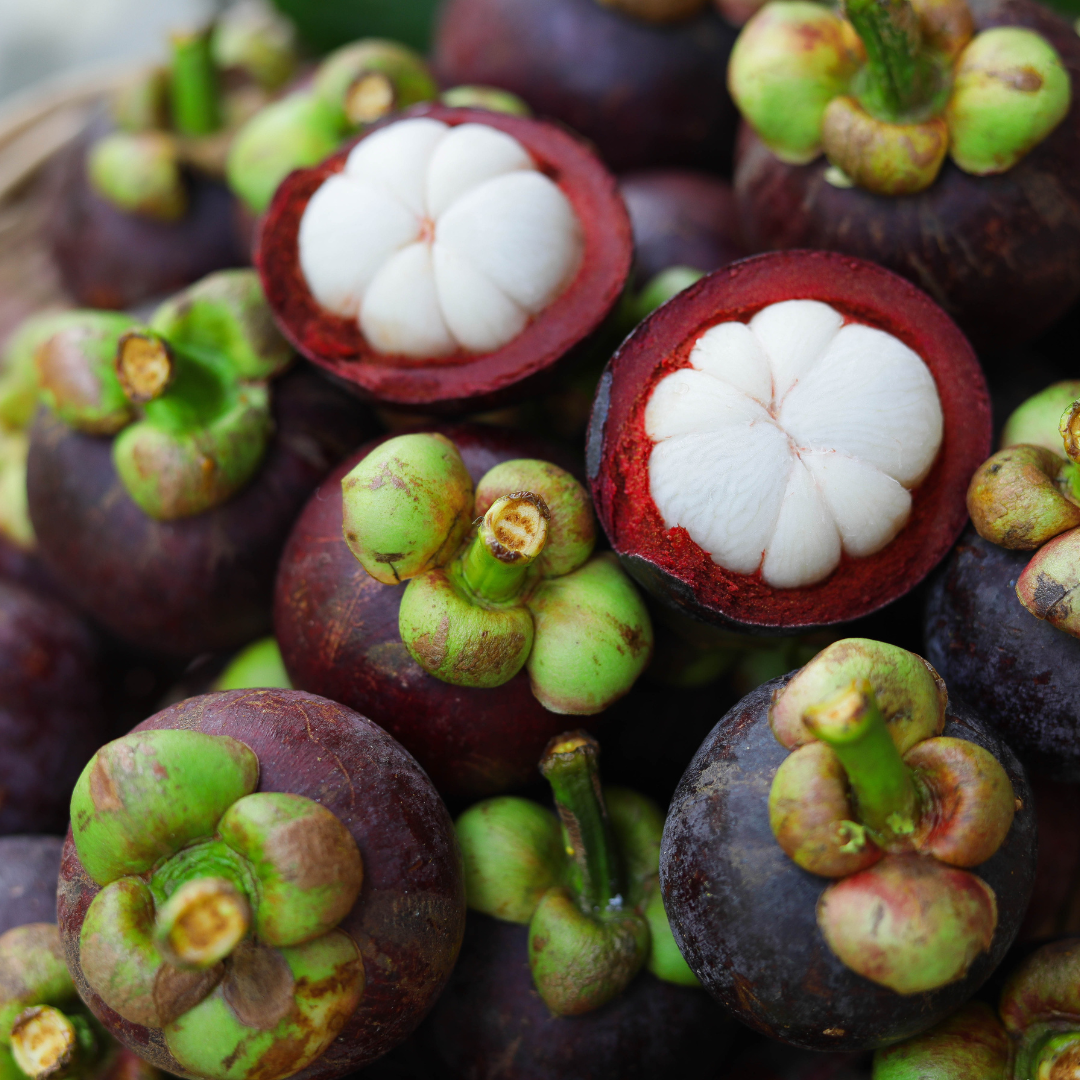 PREMIUM VIETNAMESE FRESH MANGOSTEEN – HIGH-QUALITY TROPICAL FRUIT FOR WHOLESALE AND EXPORT 3