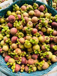 VIETNAMESE HAU GIANG FRESH MANGOSTEEN – SWEET TROPICAL FRUIT FOR WHOLESALE AND EXPORT 2