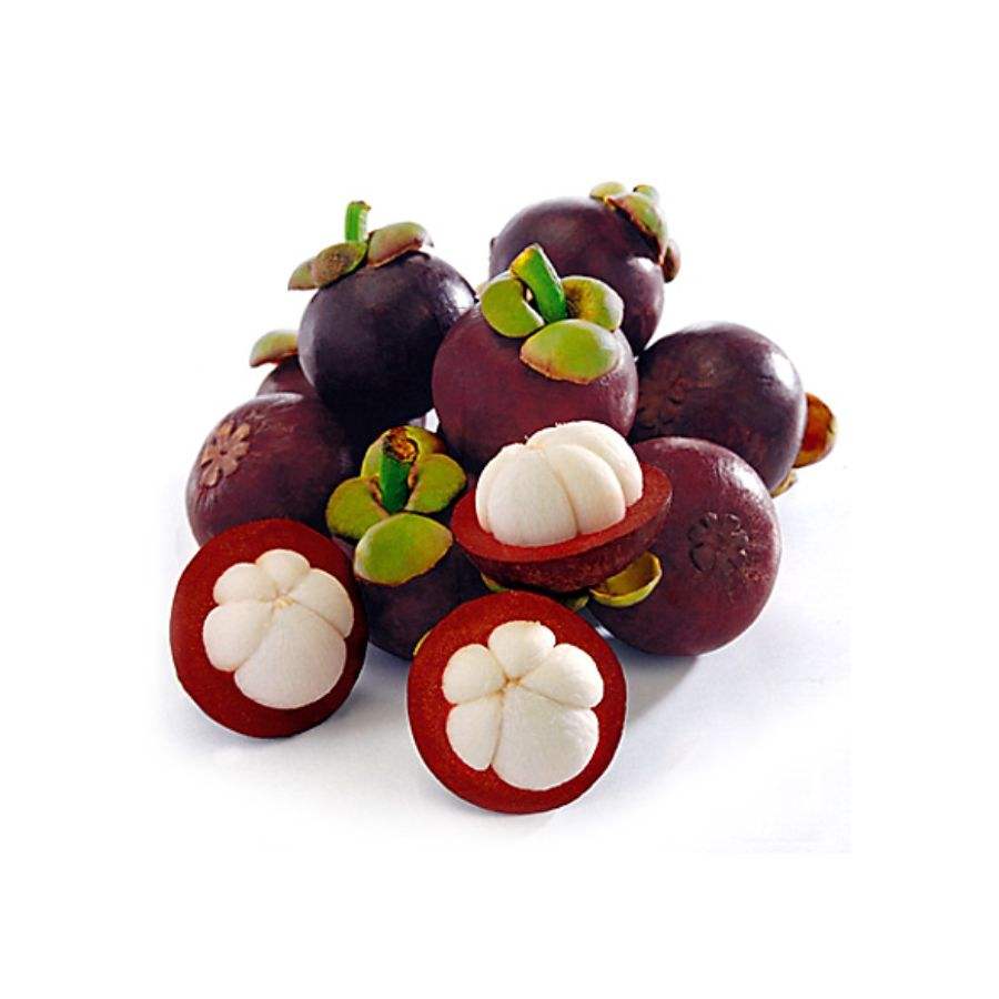 PREMIUM VIETNAMESE FRESH ORGANIC MANGOSTEEN – NATURALLY SWEET TROPICAL FRUIT, PREMIUM PACKAGING, WHOLESALE EXPORT