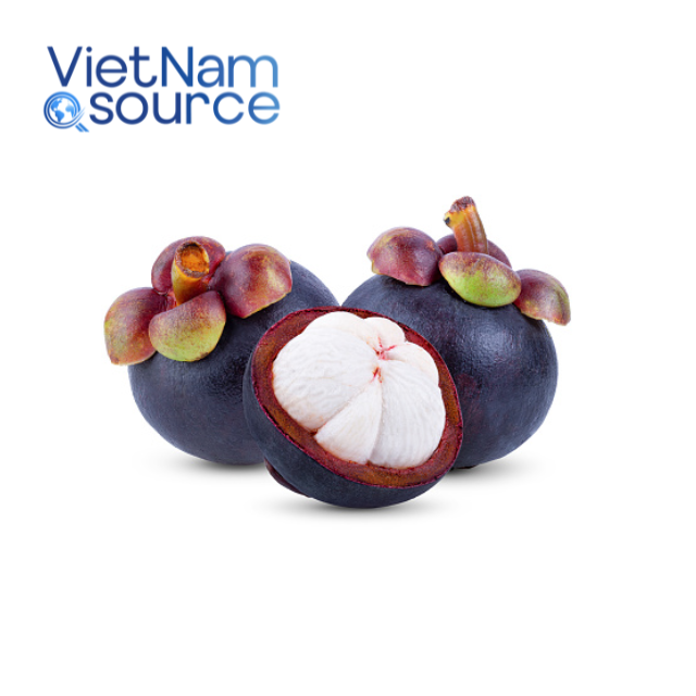 PREMIUM VIETNAMESE PURPLE MANGOSTEEN – FRESH TROPICAL FRUIT, NATURAL SWEETNESS, BULK WHOLESALE EXPORT 2