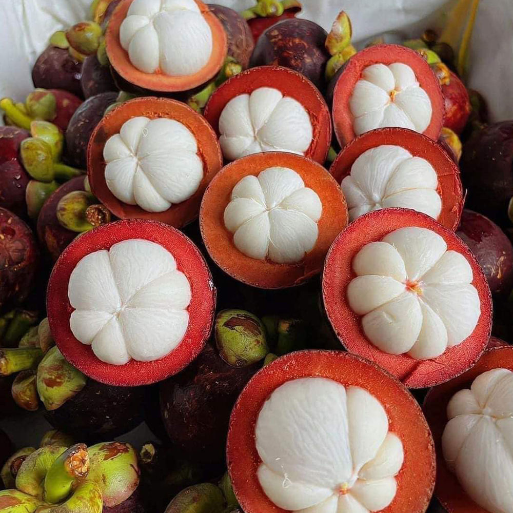 FRESH BINH PHUOC VIETNAMESE MANGOSTEEN – NATURALLY SWEET, 70–90G PER FRUIT, WHOLESALE EXPORT