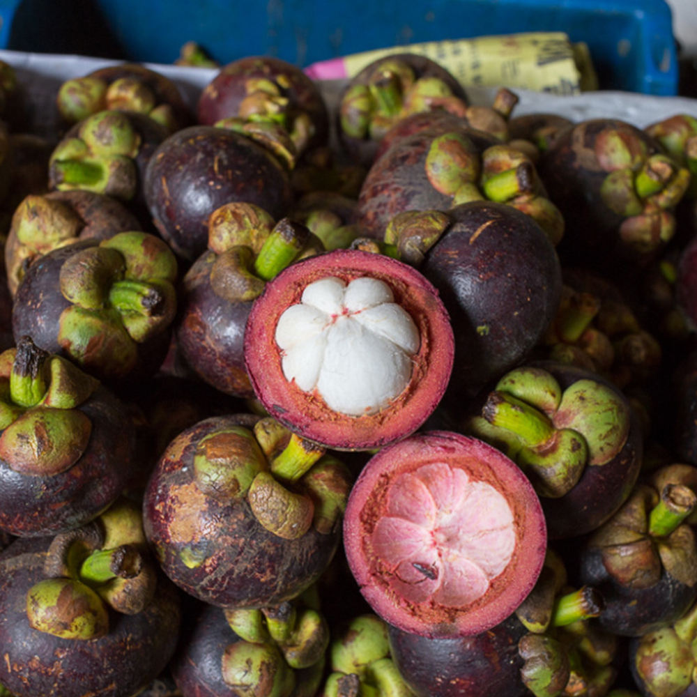 FRESH BINH PHUOC VIETNAMESE MANGOSTEEN – NATURALLY SWEET, 70–90G PER FRUIT, WHOLESALE EXPORT 2