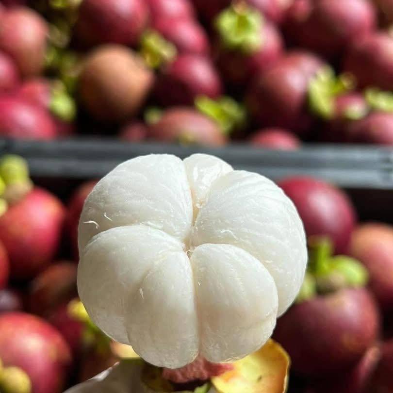 PREMIUM VIETNAMESE FREEZE-DRIED MANGOSTEEN – MILD NATURAL SWEETNESS, VACUUM PACKAGING, OEM FACTORY WHOLESALE