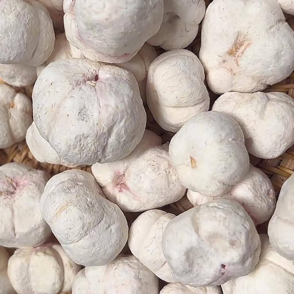 PREMIUM VIETNAMESE FREEZE-DRIED MANGOSTEEN – MILD NATURAL SWEETNESS, VACUUM PACKAGING, OEM FACTORY WHOLESALE 3