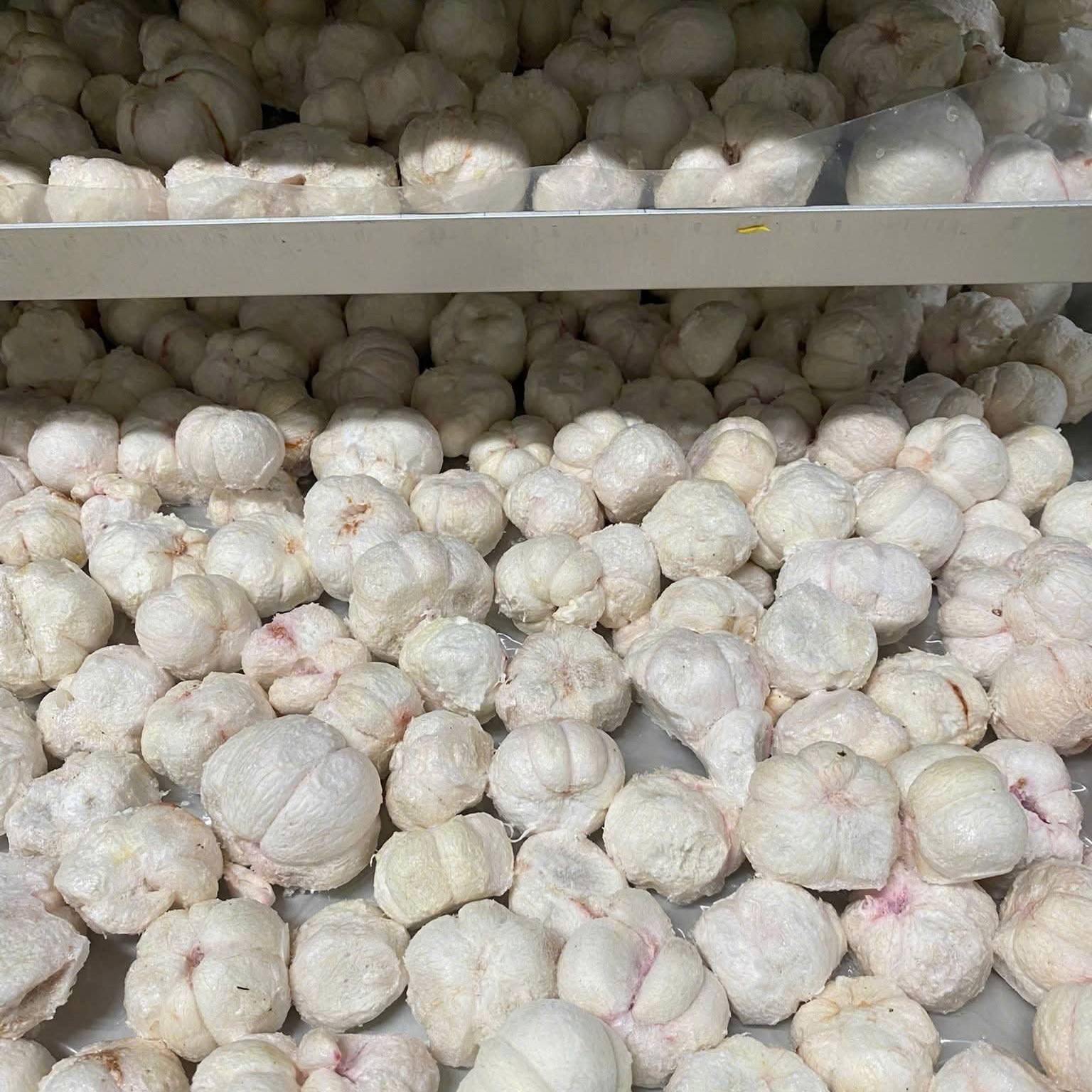 PREMIUM VIETNAMESE FREEZE-DRIED MANGOSTEEN – MILD NATURAL SWEETNESS, VACUUM PACKAGING, OEM FACTORY WHOLESALE 4