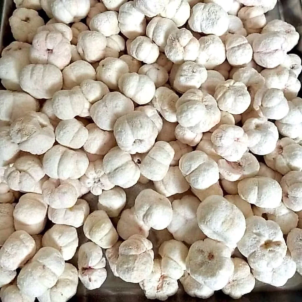 VIETNAMESE FREEZE-DRIED MANGOSTEEN – PRESERVED FRUIT FLAVOR, PREMIUM TROPICAL FRUIT SNACK FOR EXPORT 2
