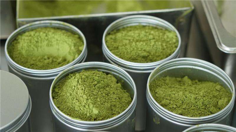 VIETNAMESE MATCHA GREEN TEA POWDER – COMPETITIVE WHOLESALE SUPPLY FOR BAKING, LATTES, SMOOTHIES AND BEVERAGES 3