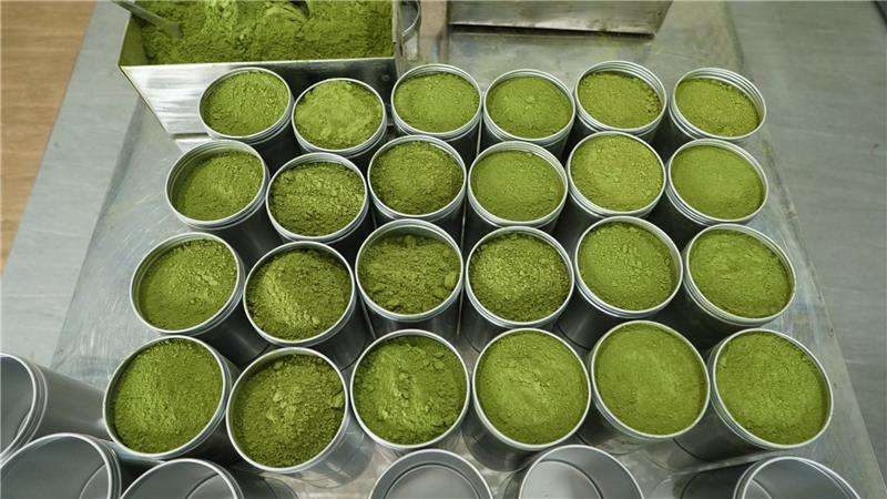 VIETNAMESE MATCHA GREEN TEA POWDER – COMPETITIVE WHOLESALE SUPPLY FOR BAKING, LATTES, SMOOTHIES AND BEVERAGES 4
