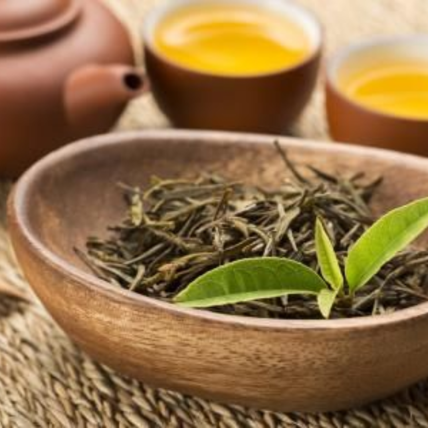 PREMIUM VIETNAMESE SON TUYET GREEN TEA – MOUNTAIN-GROWN HAND-PICKED TEA FOR WHOLESALE EXPORT