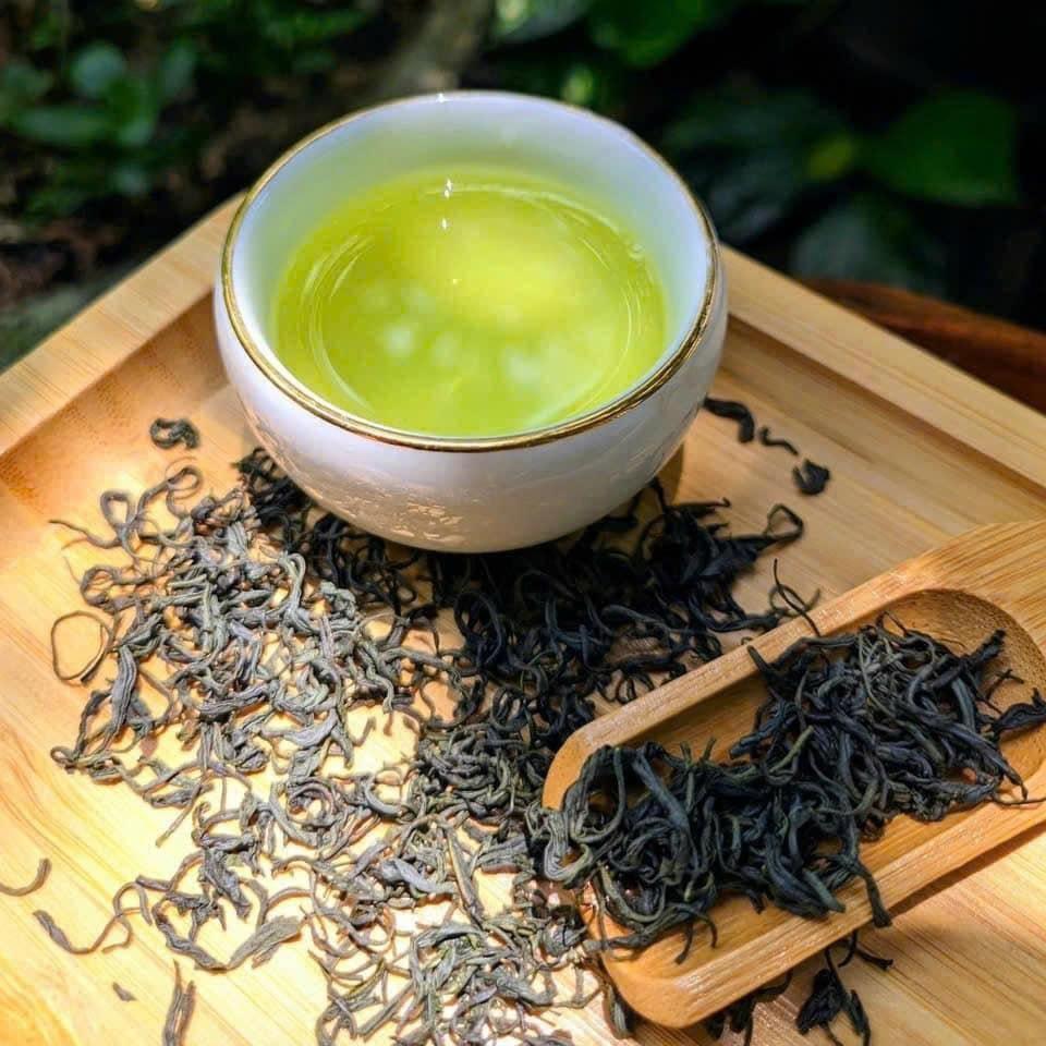 PREMIUM NATURAL THAI NGUYEN GREEN TEA LEAVES VIETNAM – WHOLESALE EXPORT FOR INTERNATIONAL MARKETS