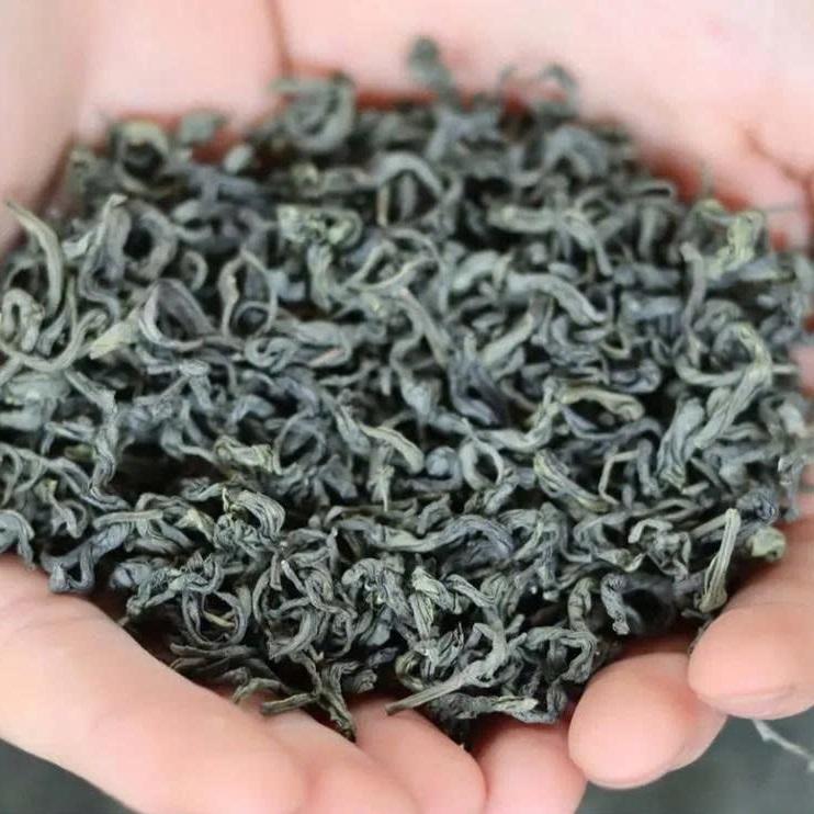 PREMIUM NATURAL THAI NGUYEN GREEN TEA LEAVES VIETNAM – WHOLESALE EXPORT FOR INTERNATIONAL MARKETS 2