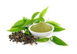 VIETNAMESE NATURAL GREEN TEA EXTRACT POWDER – FINE INSTANT TEA POWDER, BULK BAG PACKAGING FOR EXPORT 3