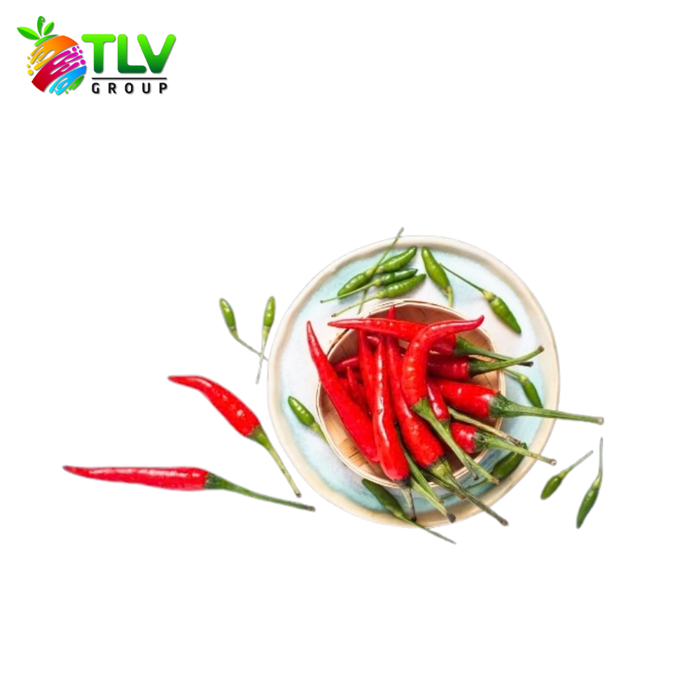PREMIUM VIETNAMESE FRESH RED CHILI PEPPERS FROM BEN TRE – WHOLESALE EXPORT, SELECTED GRADE, 25–30 DAY SHELF LIFE 3