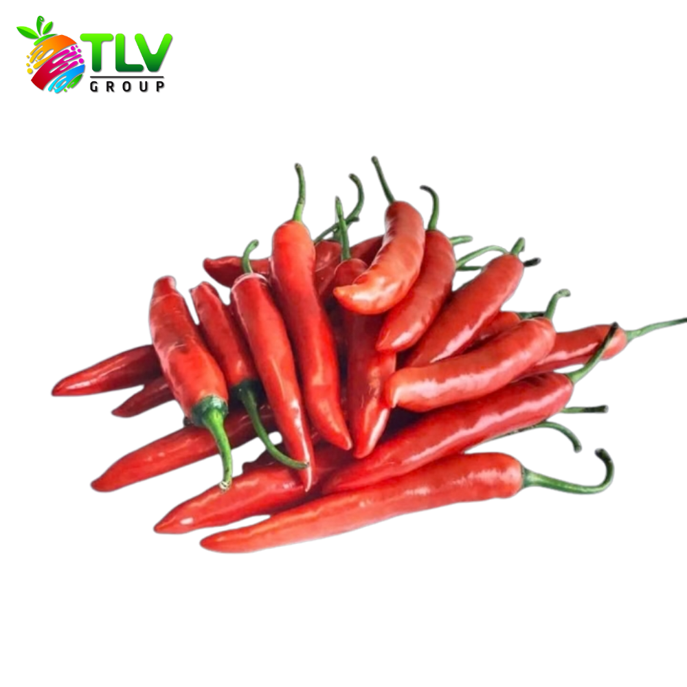 PREMIUM VIETNAMESE FRESH RED CHILI PEPPERS FROM BEN TRE – WHOLESALE EXPORT, SELECTED GRADE, 25–30 DAY SHELF LIFE 4