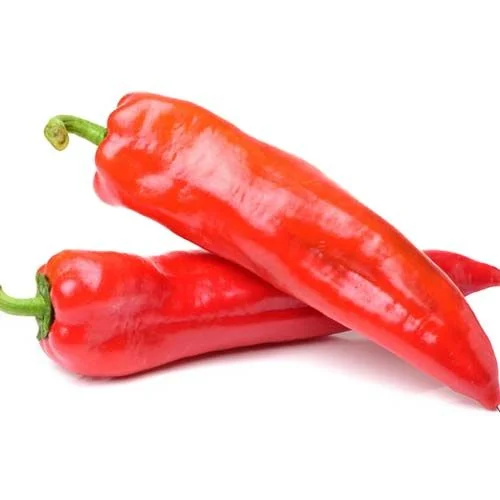 PREMIUM VIETNAMESE FRESH HORN CHILI PEPPERS – WHOLESALE SUPPLY, BULK EXPORT & FRESH PRODUCE DISTRIBUTION