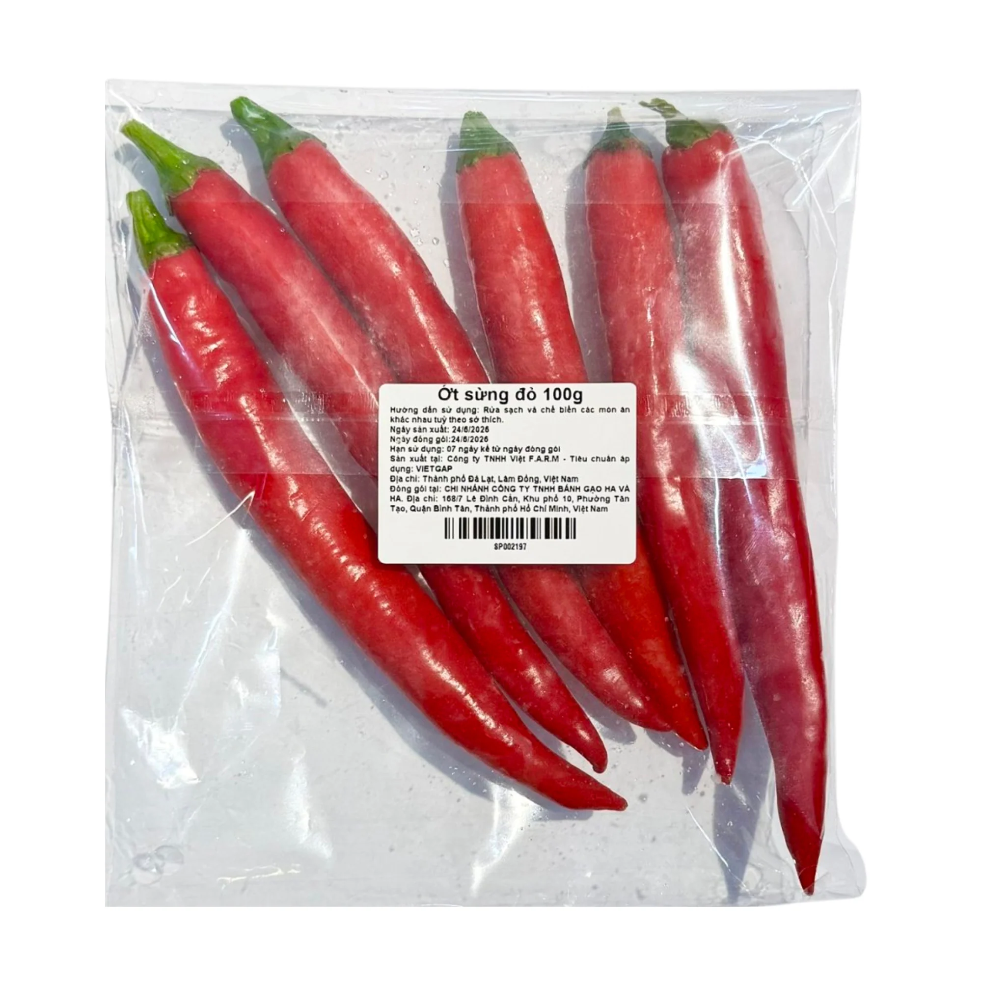 PREMIUM VIETNAMESE FRESH HORN CHILI PEPPERS – WHOLESALE SUPPLY, BULK EXPORT & FRESH PRODUCE DISTRIBUTION 4
