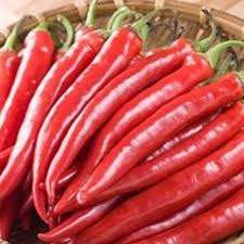 PREMIUM VIETNAMESE FRESH CHILI PEPPERS – WHOLESALE SUPPLY, BULK EXPORT & FRESH PRODUCE DISTRIBUTION 2