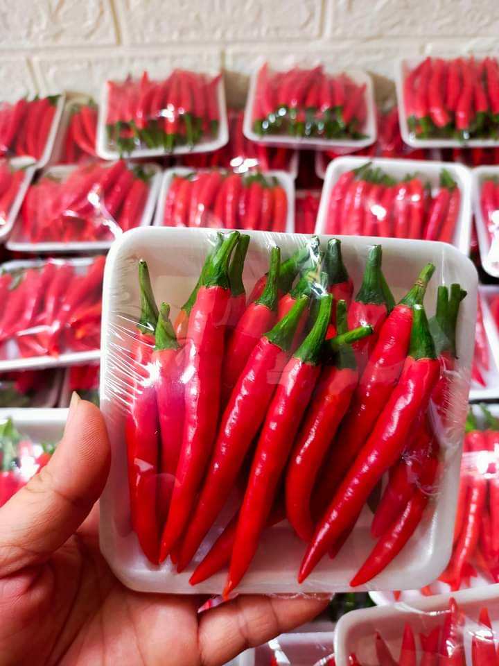 PREMIUM VIETNAMESE FROZEN RED CHILI PEPPERS – HIGH-QUALITY SPICY INGREDIENT, BULK WHOLESALE & EXPORT SUPPLIER 2