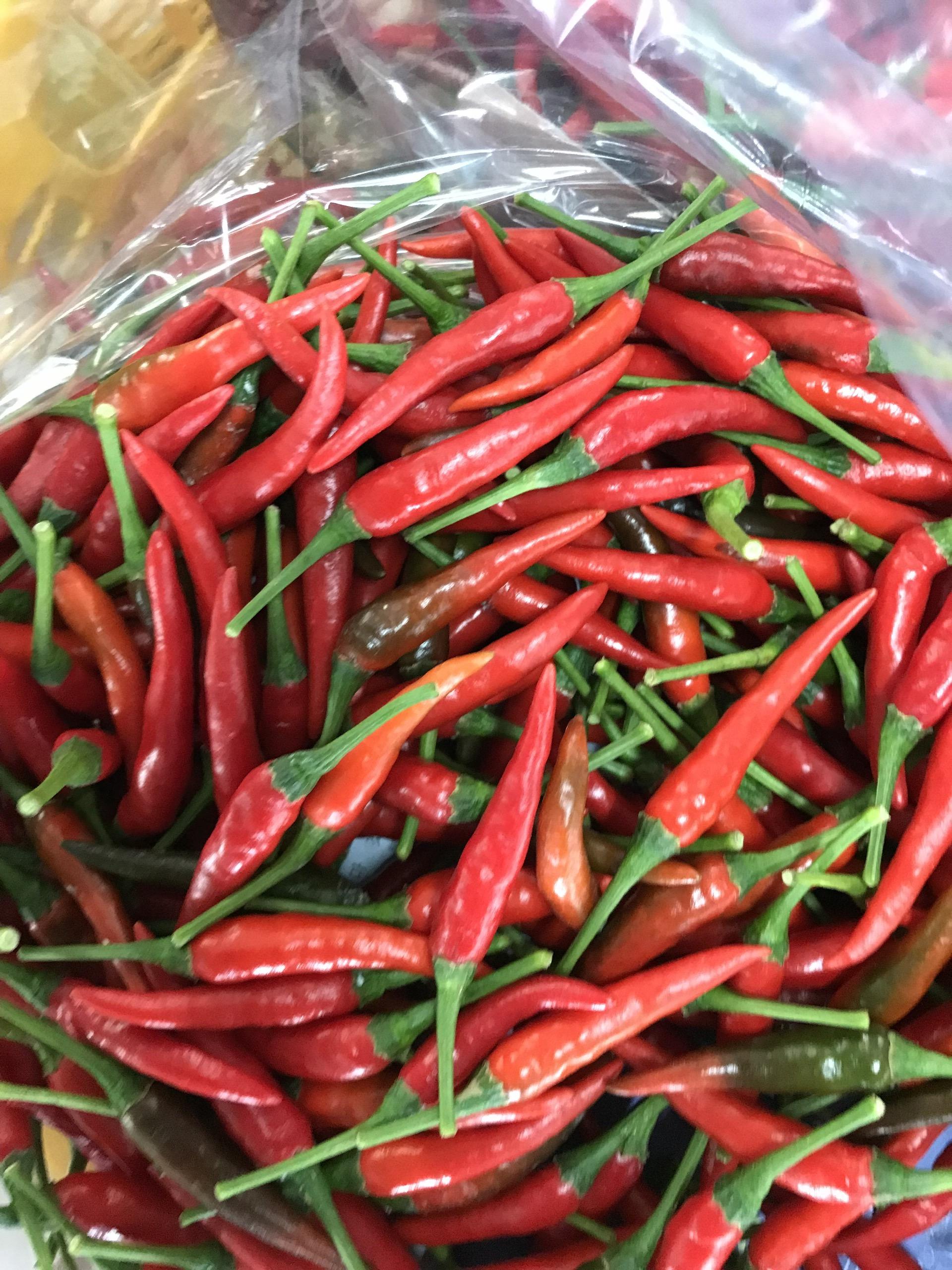 PREMIUM VIETNAMESE FROZEN RED CHILI PEPPERS – HIGH-QUALITY SPICY INGREDIENT, BULK WHOLESALE & EXPORT SUPPLIER 4