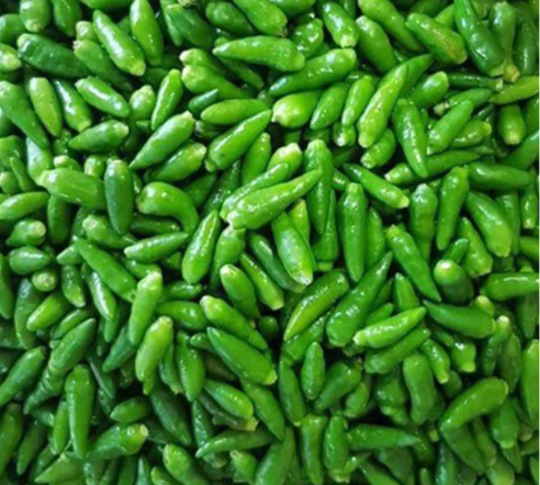 PREMIUM VIETNAMESE IQF FROZEN GREEN CHILI PEPPERS – HIGH-QUALITY BULK WHOLESALE & EXPORT SUPPLIER 3