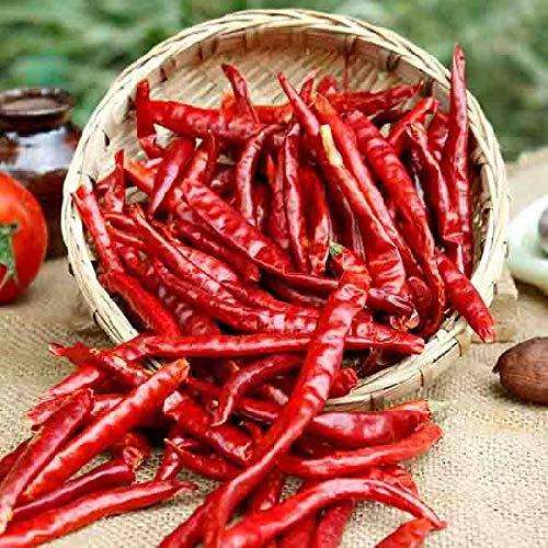 PREMIUM VIETNAMESE DRIED CHILI PEPPERS – NATURAL SPICY AGRICULTURAL PRODUCT, BULK WHOLESALE & EXPORT SUPPLIER