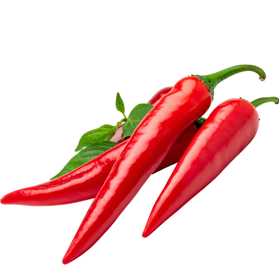 PREMIUM VIETNAMESE FRESH CHILI PEPPERS – BULK WHOLESALE FOR FOOD INDUSTRY & GLOBAL IMPORTERS