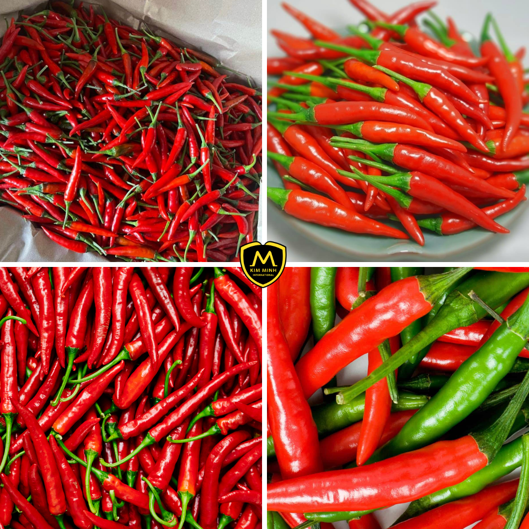 PREMIUM VIETNAMESE FRESH CHILI PEPPERS – BULK WHOLESALE FOR FOOD INDUSTRY & GLOBAL IMPORTERS 3