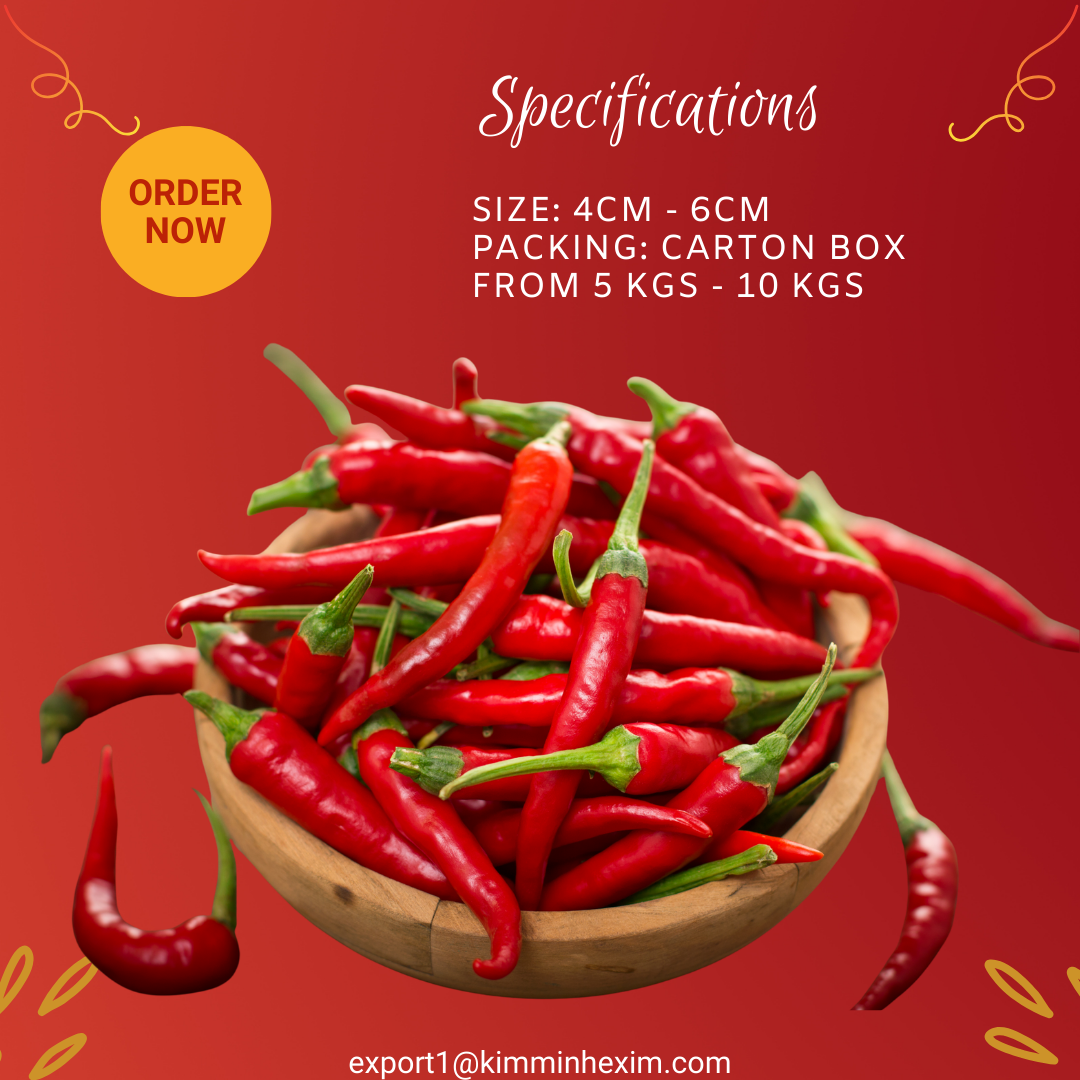 PREMIUM VIETNAMESE FRESH CHILI PEPPERS – BULK WHOLESALE FOR FOOD INDUSTRY & GLOBAL IMPORTERS 4