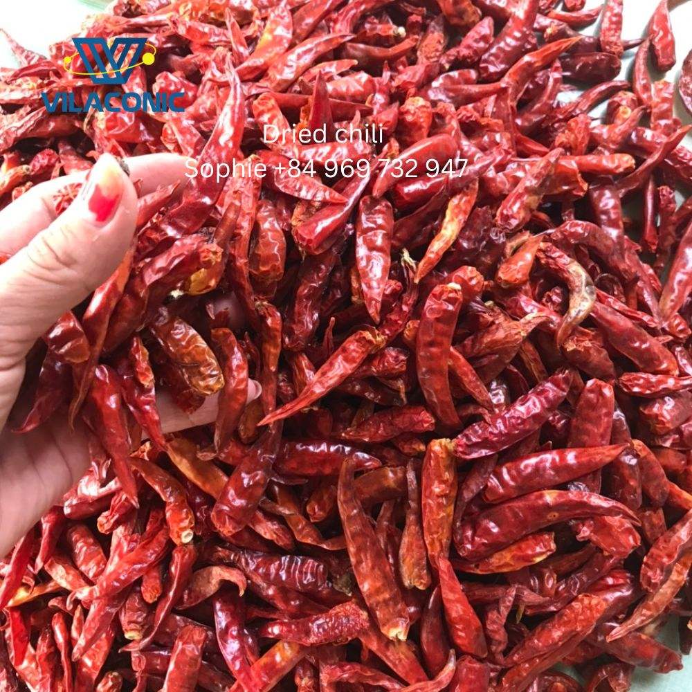 PREMIUM VIETNAMESE DRIED CHILI PEPPERS – WHOLESALE EXPORT, COMPETITIVE PRICES & LOW-MOISTURE SPECIFICATIONS 2