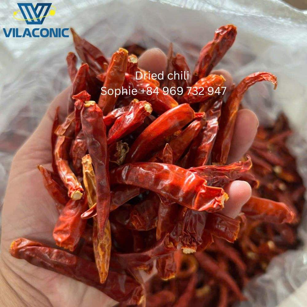 PREMIUM VIETNAMESE DRIED CHILI PEPPERS – WHOLESALE EXPORT, COMPETITIVE PRICES & LOW-MOISTURE SPECIFICATIONS 3