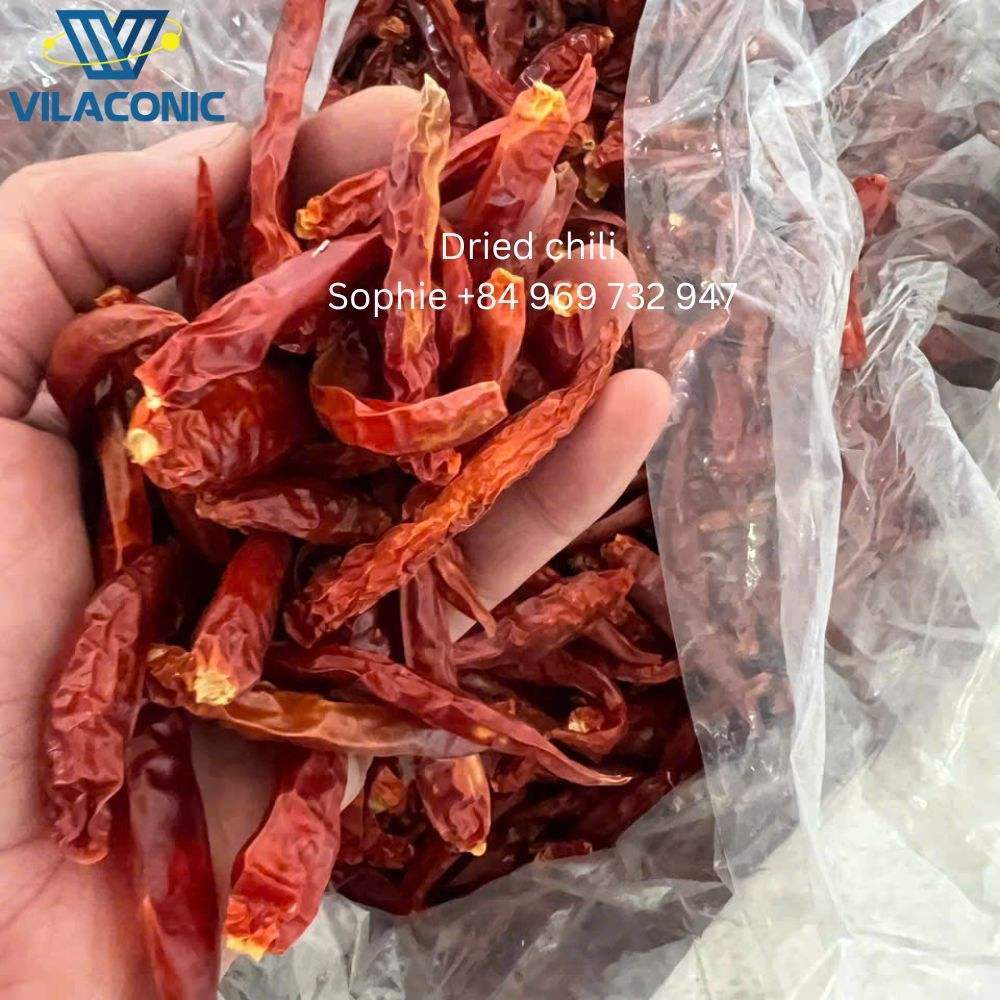 PREMIUM VIETNAMESE DRIED CHILI PEPPERS – WHOLESALE EXPORT, COMPETITIVE PRICES & LOW-MOISTURE SPECIFICATIONS 4