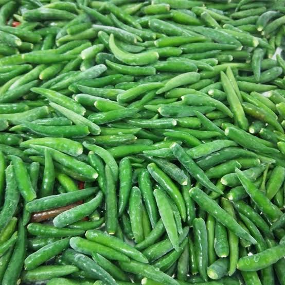 PREMIUM VIETNAMESE GREEN BIRD'S EYE CHILI – FRESH WHOLESALE SUPPLY FOR GLOBAL IMPORTERS 2
