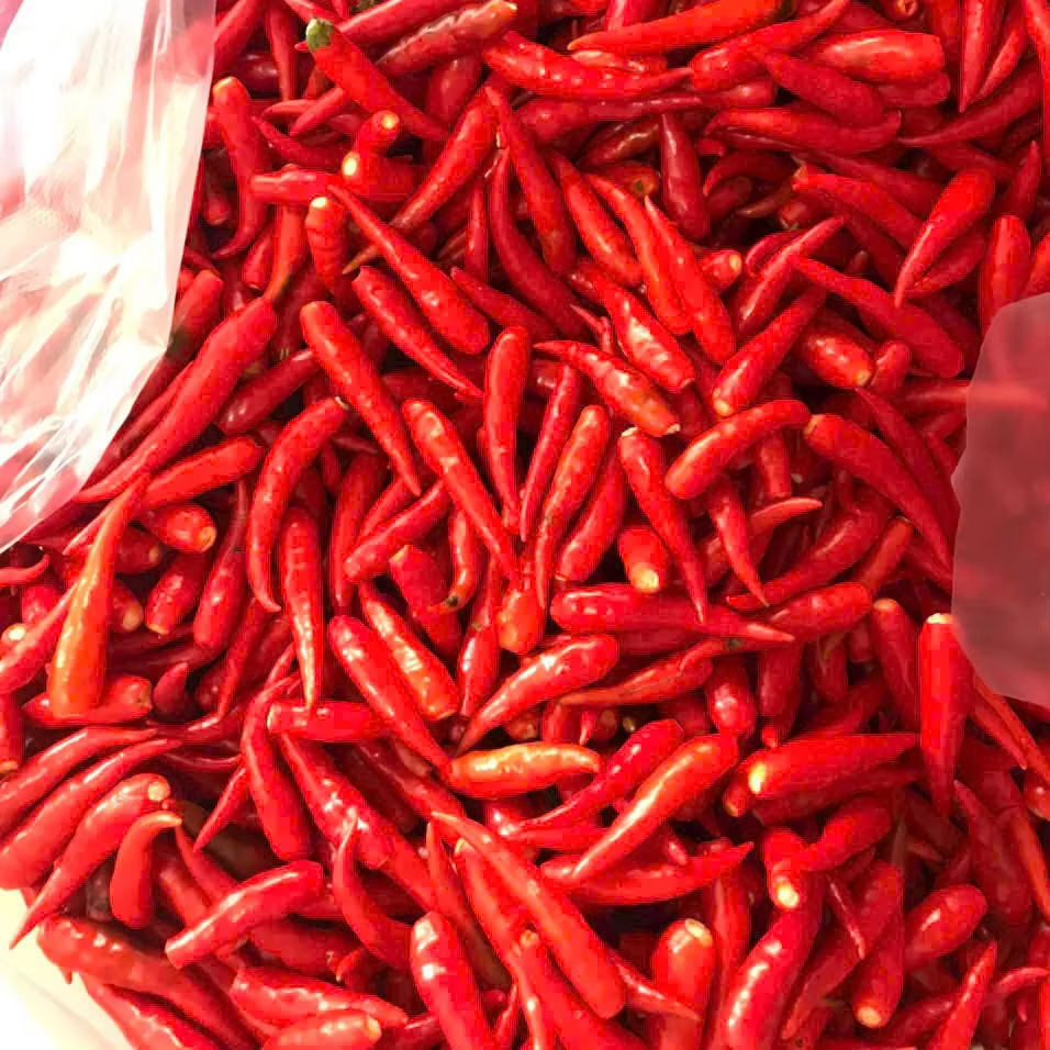 PREMIUM VIETNAMESE WHOLE RED FRESH CHILI PEPPERS – FACTORY DIRECT WHOLESALE & GLOBAL EXPORT