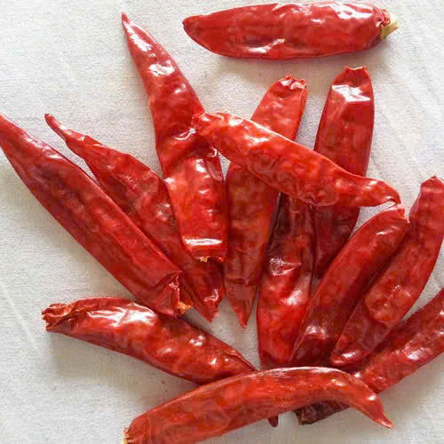 PREMIUM VIETNAMESE WHOLE RED FRESH CHILI PEPPERS – FACTORY DIRECT WHOLESALE & GLOBAL EXPORT 3