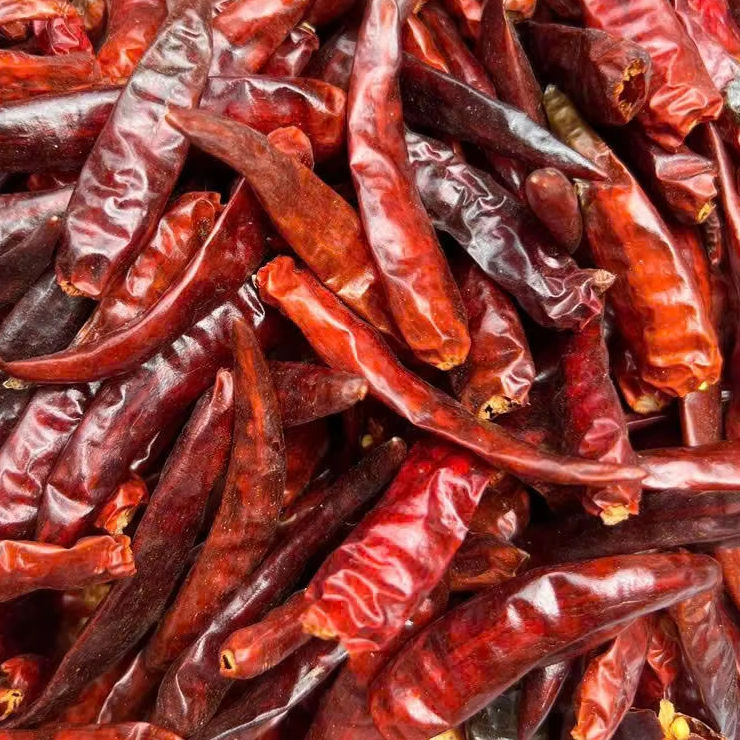 PREMIUM VIETNAMESE WHOLE DRIED RED CHILI PEPPERS – FARM-DIRECT WHOLESALE FOR GLOBAL IMPORTERS