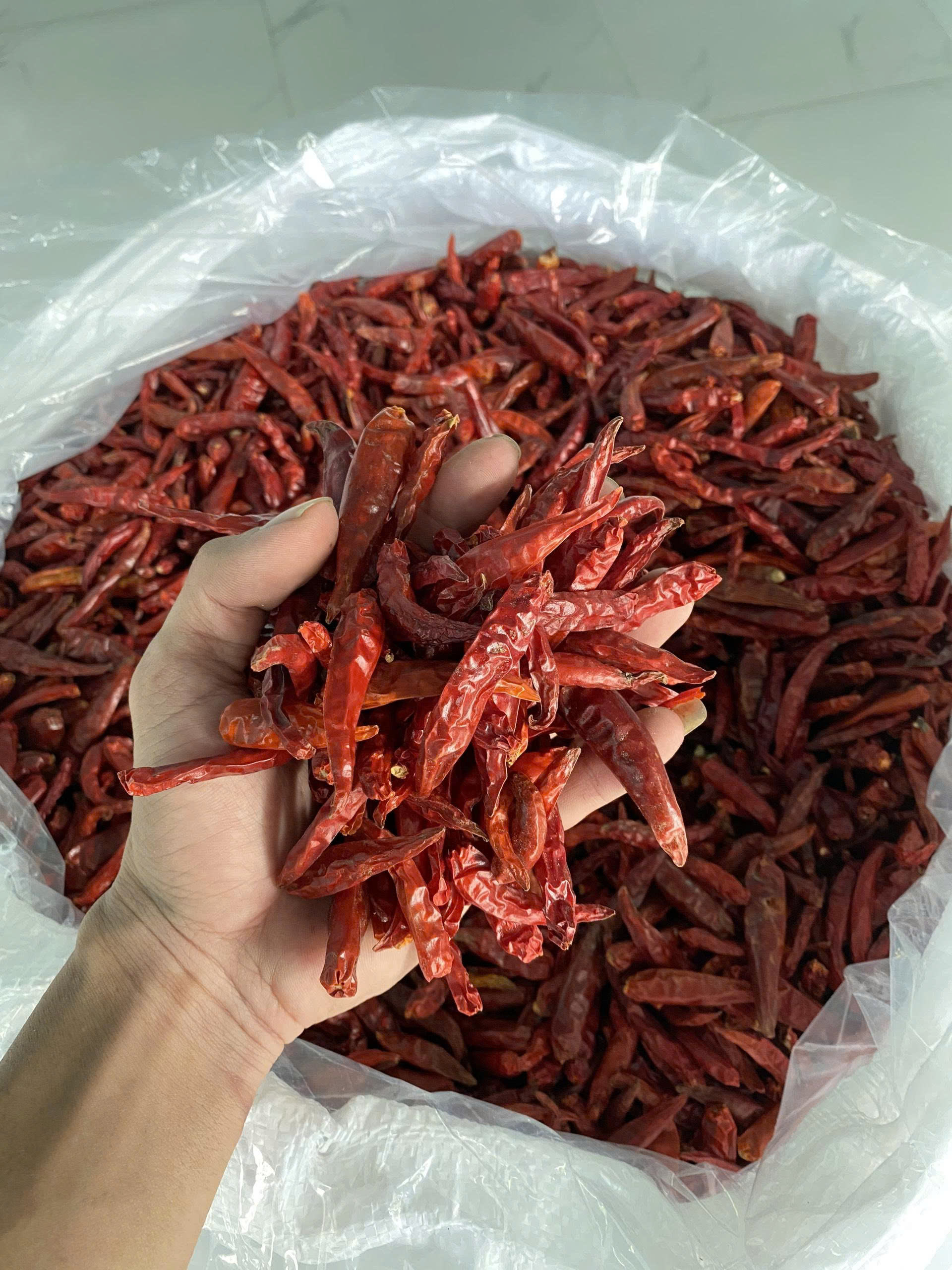 PREMIUM VIETNAMESE WHOLE DRIED RED CHILI PEPPERS – FARM-DIRECT WHOLESALE FOR GLOBAL IMPORTERS 3