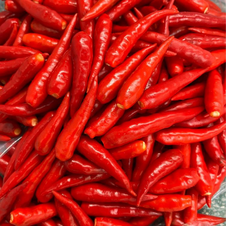 VIETNAMESE FRESH WHOLE CHILI PEPPERS – 30KG BULK BAGS FOR FOOD, BEVERAGE, SPICE & HERB INDUSTRIES