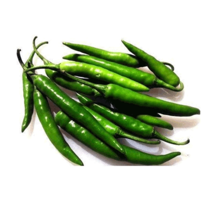 VIETNAMESE FRESH WHOLE CHILI PEPPERS – 30KG BULK BAGS FOR FOOD, BEVERAGE, SPICE & HERB INDUSTRIES 3