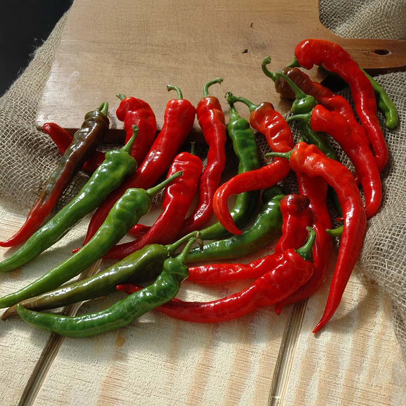 PREMIUM VIETNAMESE CAYENNE CHILI PEPPERS – WHOLESALE EXPORT FOR GLOBAL FOOD MANUFACTURERS