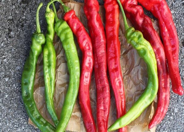 PREMIUM VIETNAMESE CAYENNE CHILI PEPPERS – WHOLESALE EXPORT FOR GLOBAL FOOD MANUFACTURERS 2