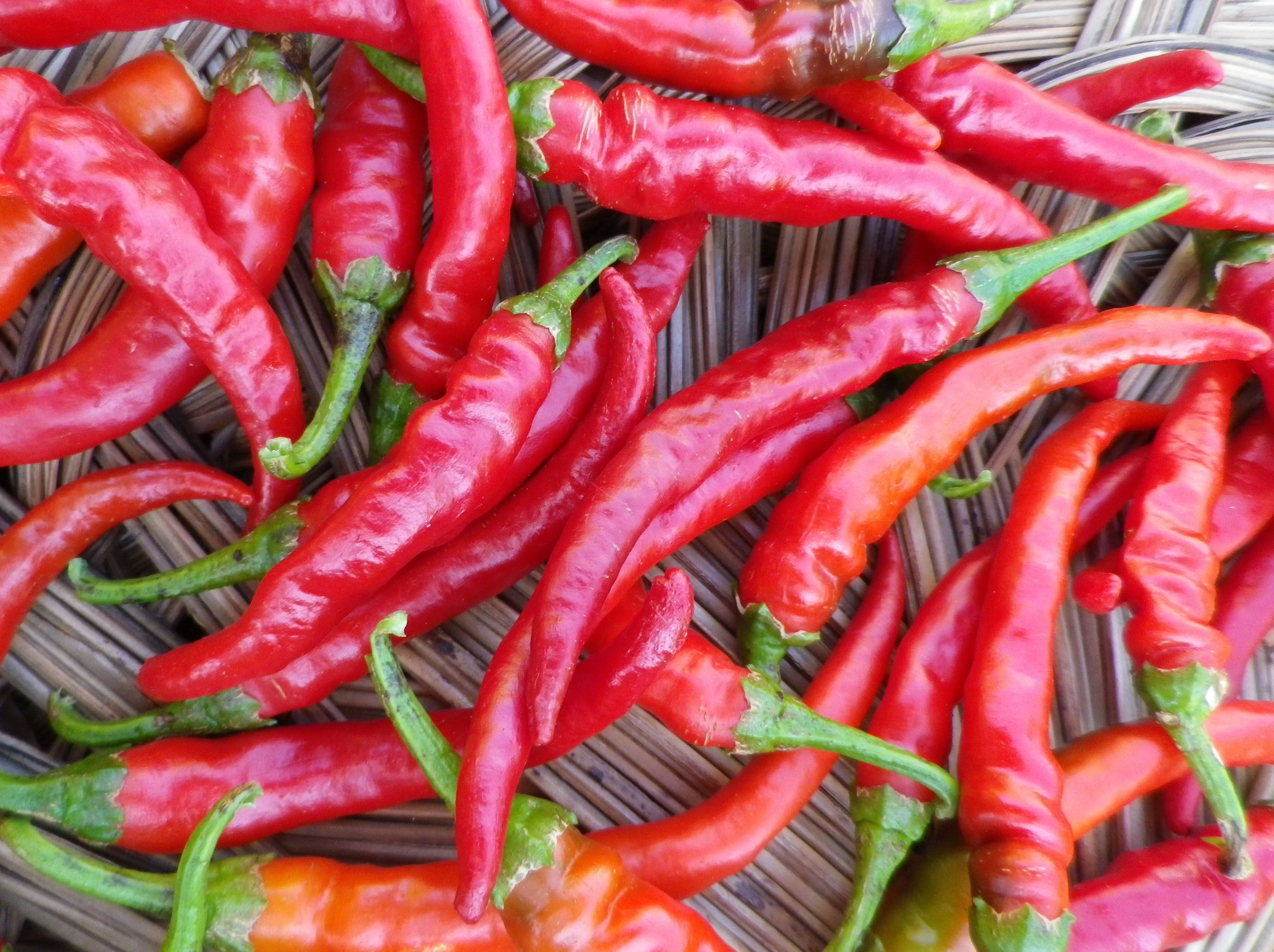PREMIUM VIETNAMESE CAYENNE CHILI PEPPERS – WHOLESALE EXPORT FOR GLOBAL FOOD MANUFACTURERS 4