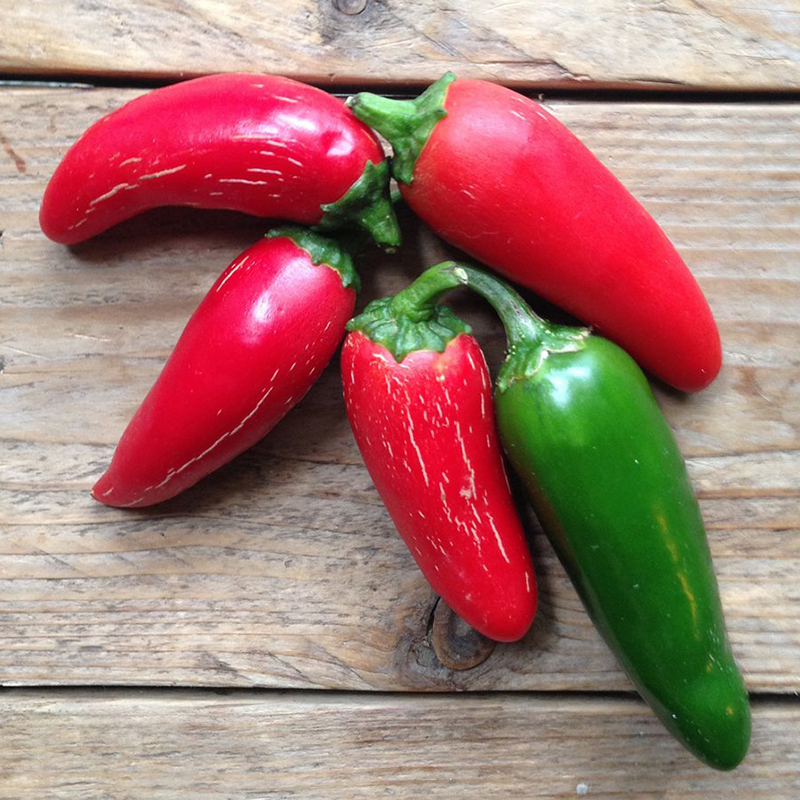PREMIUM VIETNAMESE DA NANG XIEM CHILI IN FISH SAUCE – WHOLESALE EXPORT & PRIVATE-LABEL SUPPLY