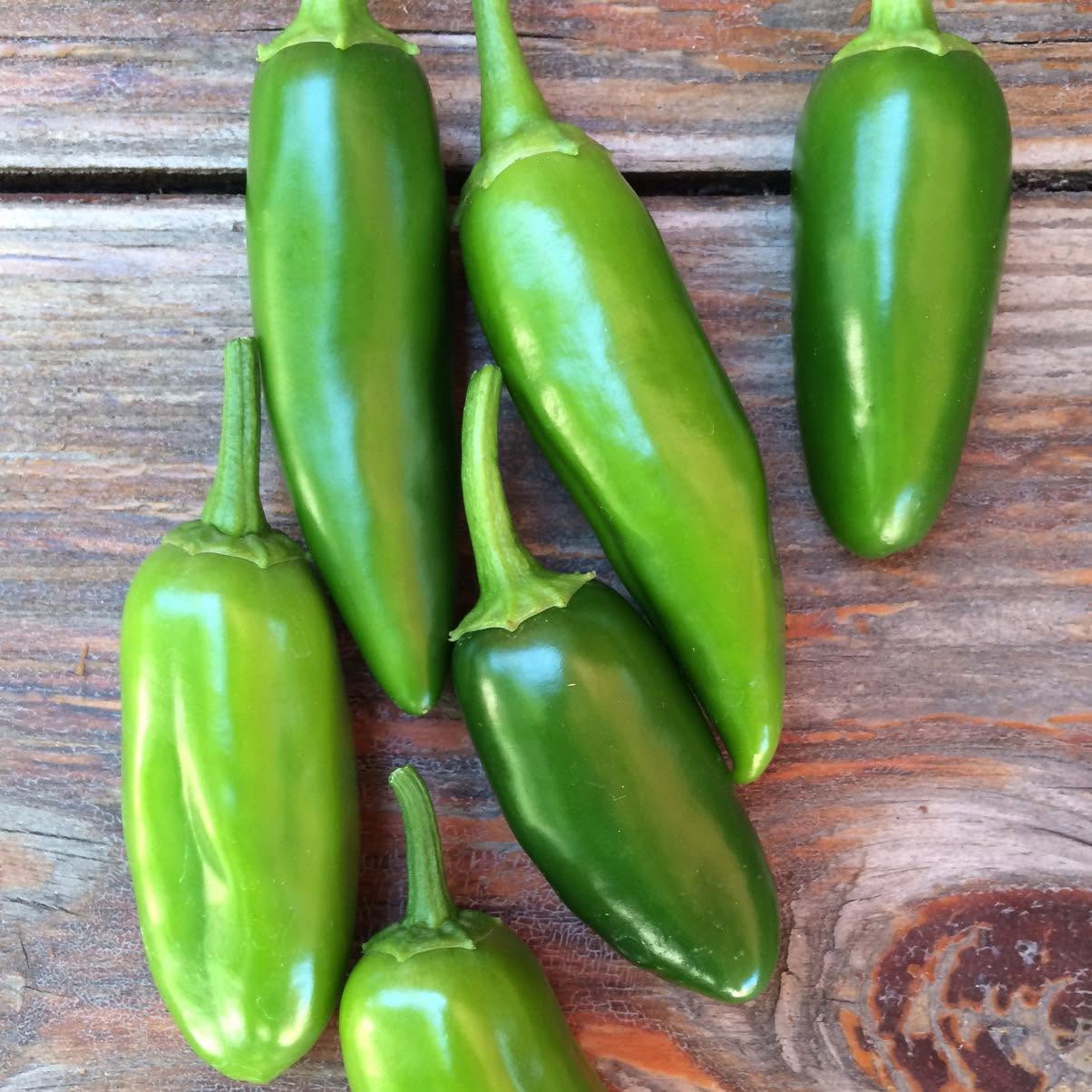 PREMIUM VIETNAMESE DA NANG XIEM CHILI IN FISH SAUCE – WHOLESALE EXPORT & PRIVATE-LABEL SUPPLY 2