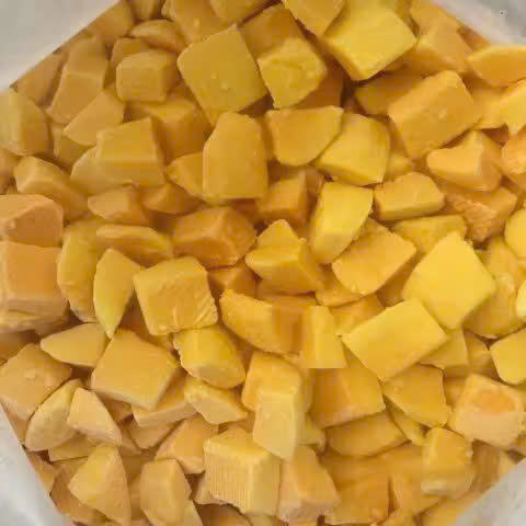 VIETNAMESE FROZEN ORGANIC MANGO – IQF WHOLESALE EXPORT & BULK SUPPLY 2
