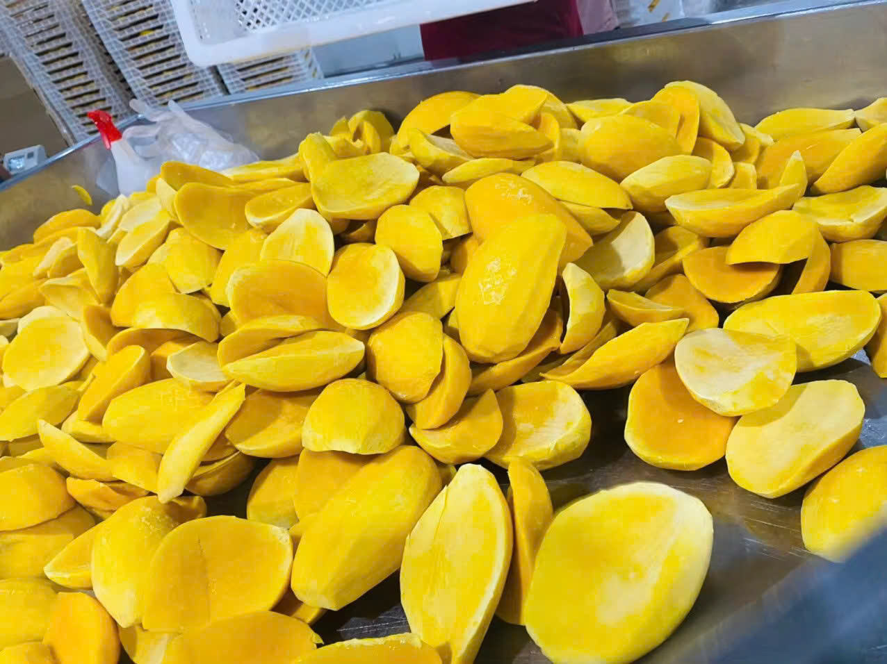 VIETNAMESE FROZEN ORGANIC MANGO – IQF WHOLESALE EXPORT & BULK SUPPLY 4
