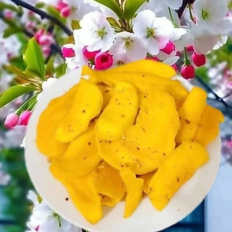 VIETNAMESE CAM LAM PREMIUM DRIED MANGO WITH CHILI SALT 1KG – WHOLESALE EXPORT & DIRECT SUPPLY 4