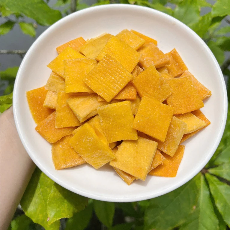 VIETNAMESE LOW-SUGAR SOFT DRIED MANGO – MEKONG DELTA SPECIALTY FOR WHOLESALE EXPORT 4