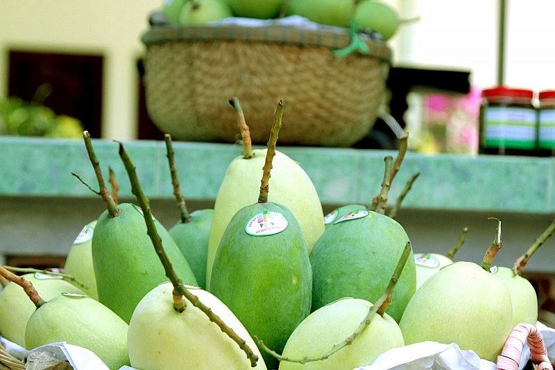 VIETNAMESE MANGO WHOLESALE – DIRECT FACTORY SUPPLY FOR INTERNATIONAL EXPORT 3